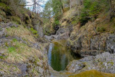 Akşam havasında güzel bir manzara, gün ışığında suyun yanında. Deniz, göl ya da nehir, su doğanın en güzel elementlerinden biridir. Güneşte parlıyor, her bayramı daha da güzelleştiriyor..