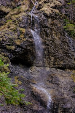 Akşam havasında güzel bir manzara, gün ışığında suyun yanında. Deniz, göl ya da nehir, su doğanın en güzel elementlerinden biridir. Güneşte parlıyor, her bayramı daha da güzelleştiriyor..