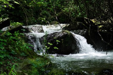 Akşam havasında güzel bir manzara, gün ışığında suyun yanında. Deniz, göl ya da nehir, su doğanın en güzel elementlerinden biridir. Güneşte parlıyor, her bayramı daha da güzelleştiriyor..