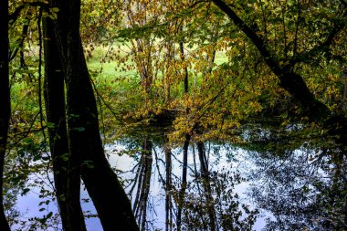 Akşam havasında güzel bir manzara, gün ışığında suyun yanında. Deniz, göl ya da nehir, su doğanın en güzel elementlerinden biridir. Güneşte parlıyor, her bayramı daha da güzelleştiriyor..