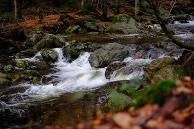 Akşam havasında güzel bir manzara, gün ışığında suyun yanında. Deniz, göl ya da nehir, su doğanın en güzel elementlerinden biridir. Güneşte parlıyor, her bayramı daha da güzelleştiriyor..