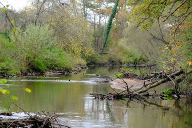 Akşam havasında güzel bir manzara, gün ışığında suyun yanında. Deniz, göl ya da nehir, su doğanın en güzel elementlerinden biridir. Güneşte parlıyor, her bayramı daha da güzelleştiriyor..