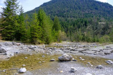 Deniz, göl ya da nehir, su doğanın en güzel elementlerinden biridir. Güneşte parlamak, her bayramı daha da güzelleştiriyor. Akşam havasında güzel bir manzara, gün ışığında suyun yanında..