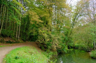 Akşam havasında güzel bir manzara, gün ışığında suyun yanında. Deniz, göl ya da nehir, su doğanın en güzel elementlerinden biridir. Güneşte parlıyor, her bayramı daha da güzelleştiriyor..