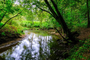 Akşam havasında güzel bir manzara, gün ışığında suyun yanında. Deniz, göl ya da nehir, su doğanın en güzel elementlerinden biridir. Güneşte parlıyor, her bayramı daha da güzelleştiriyor..