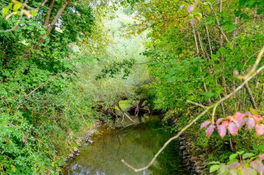 Akşam havasında güzel bir manzara, gün ışığında suyun yanında. Deniz, göl ya da nehir, su doğanın en güzel elementlerinden biridir. Güneşte parlıyor, her bayramı daha da güzelleştiriyor..