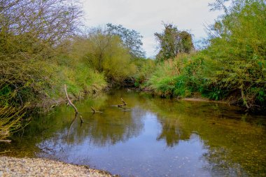 Akşam havasında güzel bir manzara, gün ışığında suyun yanında. Deniz, göl ya da nehir, su doğanın en güzel elementlerinden biridir. Güneşte parlıyor, her bayramı daha da güzelleştiriyor..