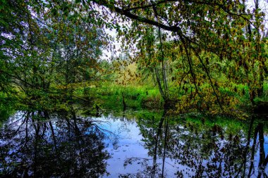 Akşam havasında güzel bir manzara, gün ışığında suyun yanında. Deniz, göl ya da nehir, su doğanın en güzel elementlerinden biridir. Güneşte parlıyor, her bayramı daha da güzelleştiriyor..