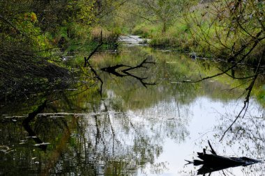 Akşam havasında güzel bir manzara, gün ışığında suyun yanında. Deniz, göl ya da nehir, su doğanın en güzel elementlerinden biridir. Güneşte parlıyor, her bayramı daha da güzelleştiriyor..