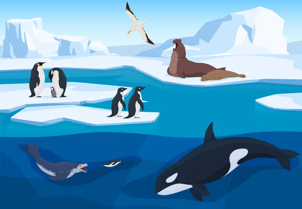Animals Antarctic Natural Environment Icebergs Cartoon Style Animales Terrestres Submarinos — Vector de stock