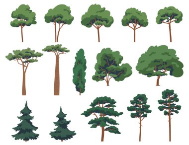 Yaprak döken ve kozalaklı ağaçlar. Çizgi film bitkileri. Çizgi film tarzında ağaçlarla kaplı bir orman..