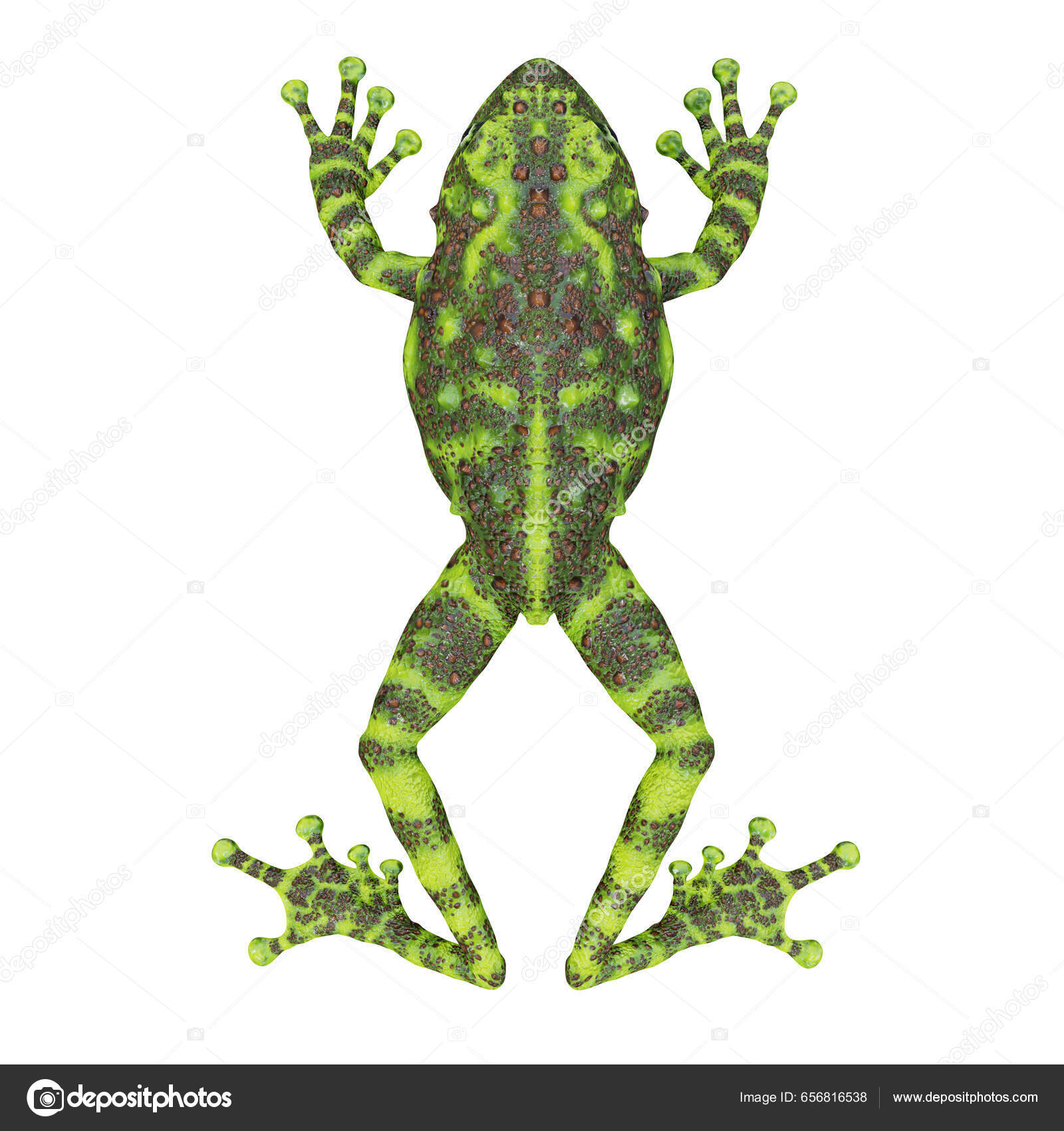 japanese frog clipart