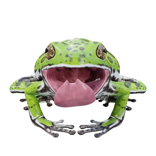 Ilustración Barking Tree Frog —  Fotos de Stock
