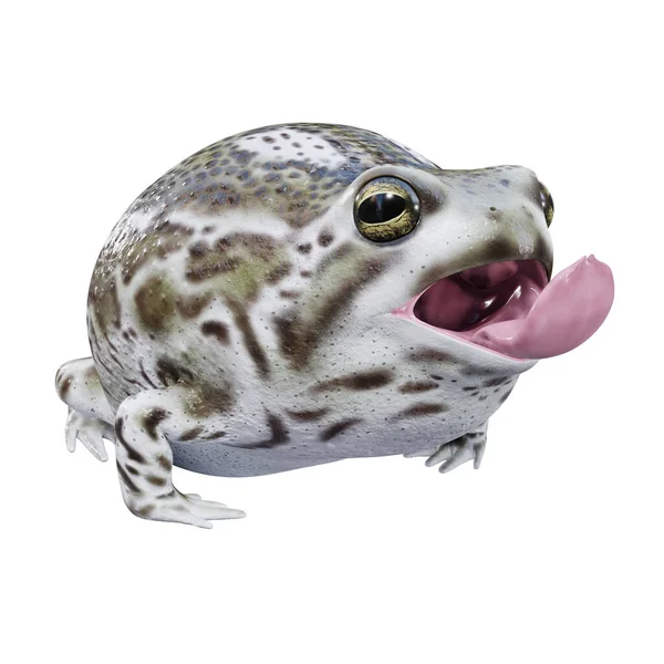 沙漠雨蛙3D图解 — 图库照片