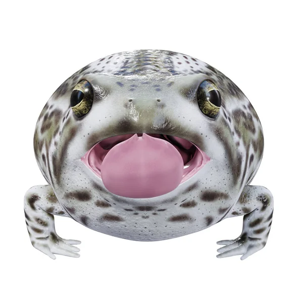 沙漠雨蛙3D图解 — 图库照片