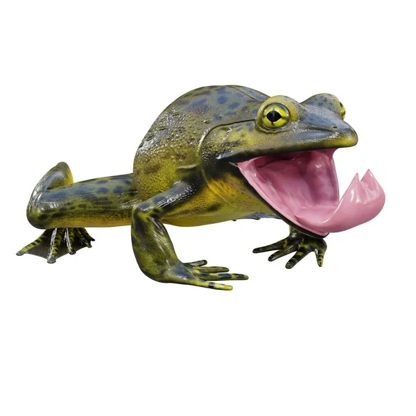 Ilustracja Goliata Bullfrog — Zdjęcie stockowe