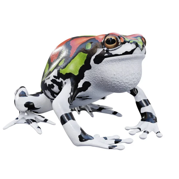 Illustration Madagaskar Rainbow Frog - Stock-foto