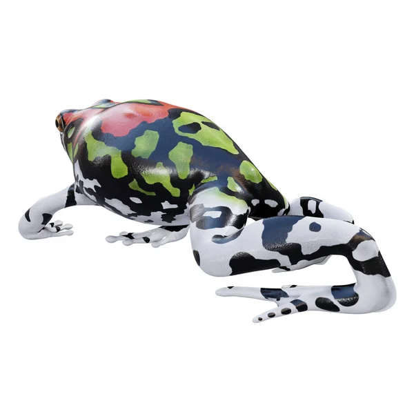 马达加斯加彩虹蛙的3D例证 — 图库照片