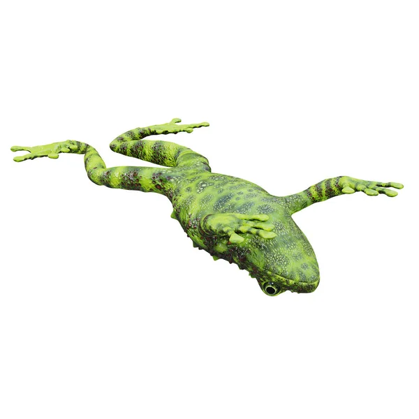 Illustration Vietnamesiska Mossy Frog — Stockfoto