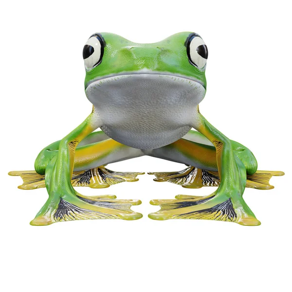 Illuation Wallace Flying Frog — стокове фото