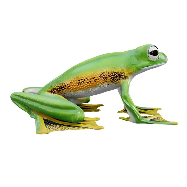 Illustratie Van Wallace Flying Frog — Stockfoto