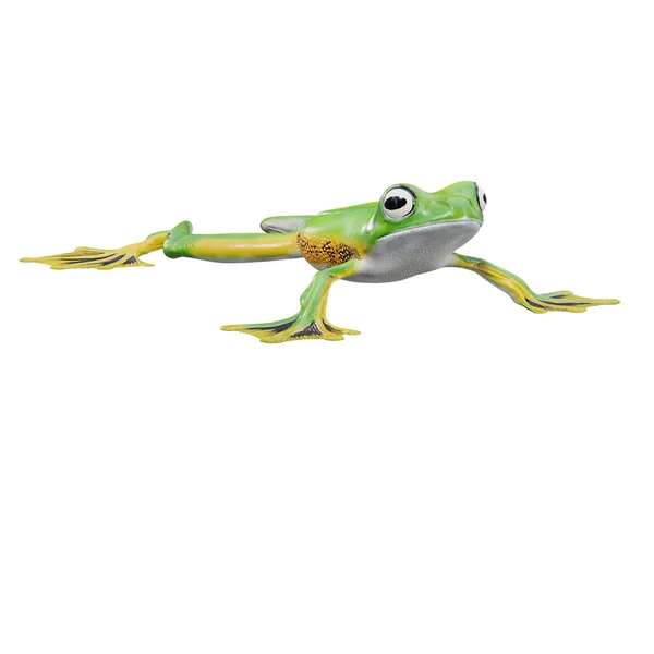 3Dイラスト Wallace Flying Frog — ストック写真