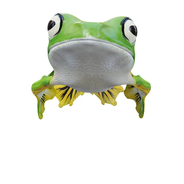 华莱士的飞蛙3D图解 — 图库照片