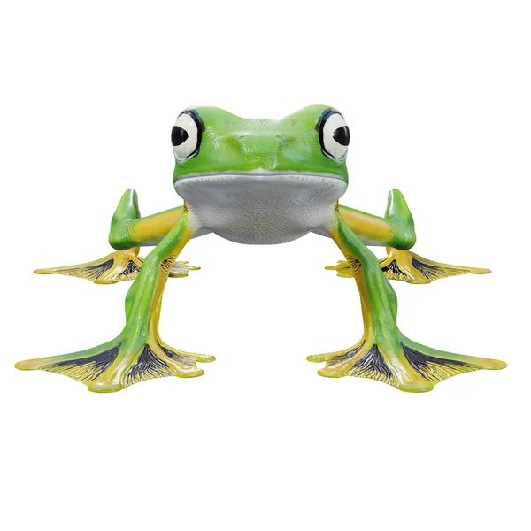 3Dイラスト Wallace Flying Frog — ストック写真