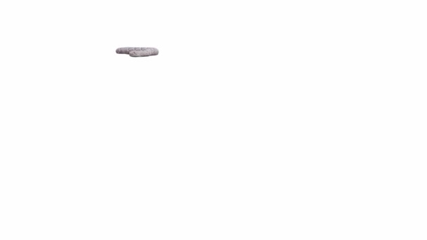 Анимация Вестерн Даймондбэк Гремучая Змея Ползание Лума Матте Числе Версия — стоковое видео