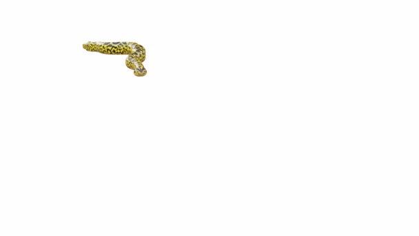 3D动画的黄色Anaconda 包括Luma Matte 有一个版本的动画视频与地面阴影 — 图库视频影像