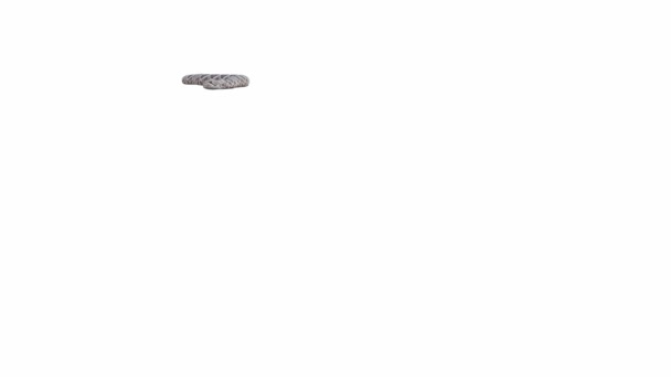 イースタンダイヤモンドバックラットルスネークの3Dアニメーション クロール ルママットが含まれています 地上の影を持つこのアニメーションビデオのバージョンがあります — ストック動画