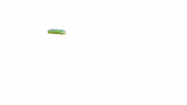 Animazione Emerald Tree Boa Crawling Luma Matte Incluso Una Versione — Video Stock