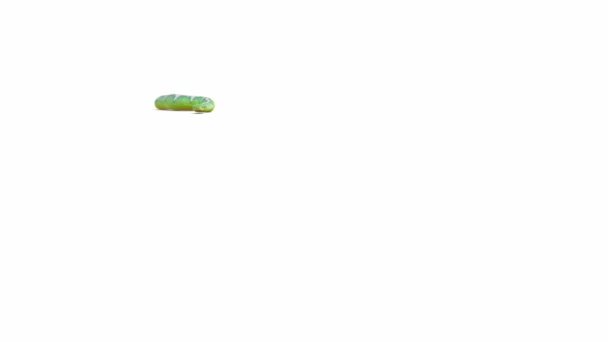 Animatie Van Emerald Tree Boa Kruipen Bodemschaduw Inclusief Luma Matte — Stockvideo