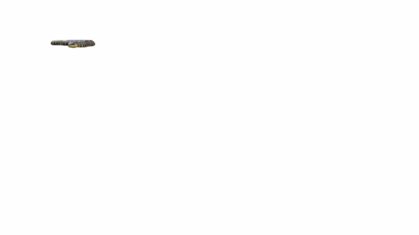 แอน เมช ของง าชายเลน คลาน รวม Luma Matte ภาพเคล อนไหวของว — วีดีโอสต็อก