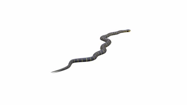 Animation Mangrove Snake Crawling Ground Shadow Luma Matte Included Version — Stock Video
