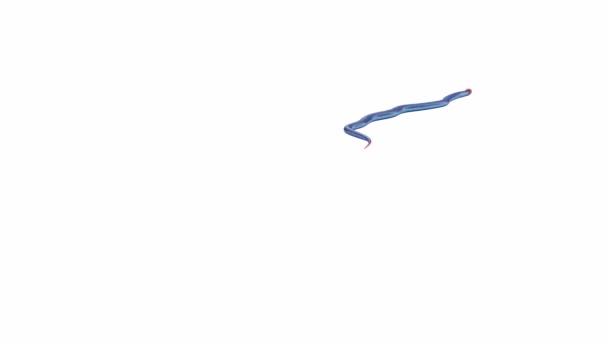 ブルーコーラルスネークの3Dアニメーション クロール ルママットが含まれています 地上の影を持つこのアニメーションビデオのバージョンがあります — ストック動画