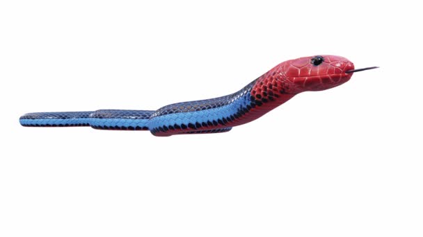 Animation Του Blue Coral Snake Σέρνεται Αδιάλειπτη Βρόχο Luma Matte — Αρχείο Βίντεο