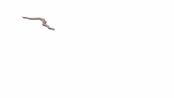 3D动画东布朗蛇 地面阴影 Luma Matte包括 有一个版本的动画视频没有地面阴影 — 图库视频影像