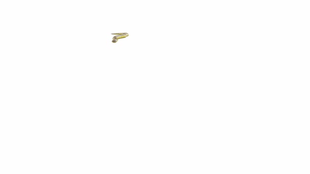 แอน เมช ของง คลาน Luma Matte รวมอย ภาพเคล อนไหวว โอน — วีดีโอสต็อก