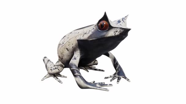 Animation Malayan Horned Frog Calling Seamless Loop Luma Matte Included — Stock Video