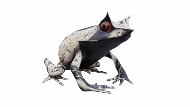 Animatie Van Malayan Horned Frog Idle Naadloze Lus Luma Matte — Stockvideo