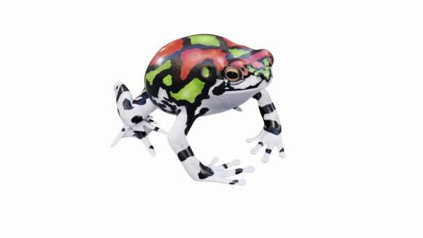 马达加斯加彩虹蛙3D动画 无缝循环 Luma Matte包括 — 图库视频影像