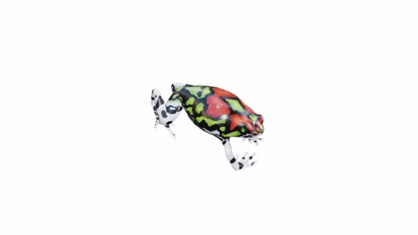 Animation Malagasy Rainbow Frog Jumping Seamless Loop Luma Matte Included — Stock Video