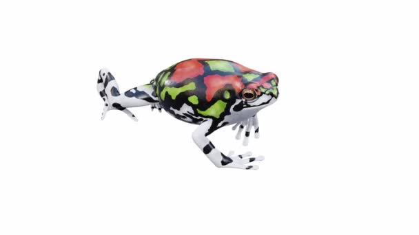 Animation Rainbow Frog Malgache Marche Boucle Transparente Luma Matte Inclus — Video