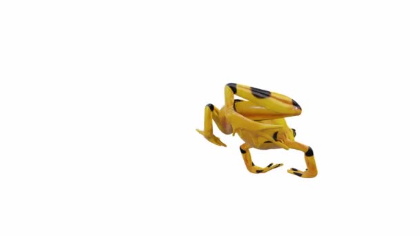 パナマ黄金のカエルの3Dアニメーション ジャンプ シームレスなループ ルママットが含まれています — ストック動画