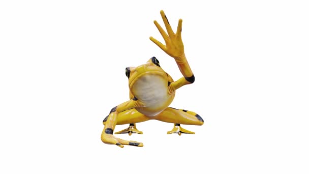 巴拿马金青蛙3D动画 无缝回圈 Luma Matte包括 — 图库视频影像