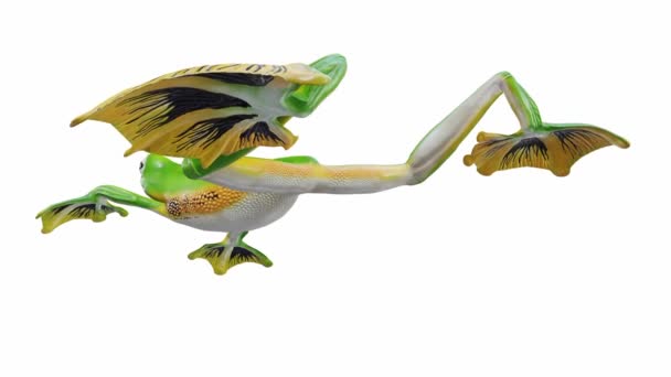 Animación Wallace Flying Frog Lazo Sin Costuras Luma Mate Incluido — Vídeo de stock