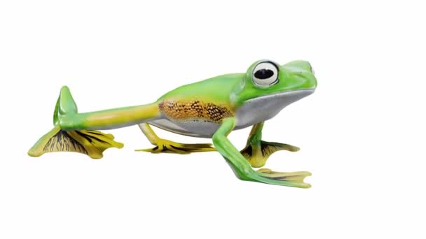 Animation Wallace Flying Frog Seamless Loop Luma Matte Included — Stock Video
