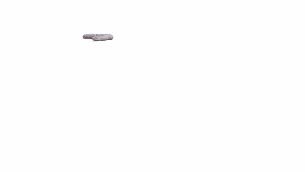 Анимация Вестерн Даймондбэк Гремучая Змея Ползание Земля Тень Лума Матте — стоковое видео