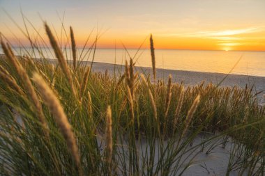 Sunset at sandy beach on Baltic sea. Sandy dune with grass on the sea coast at sunset. Travel destination